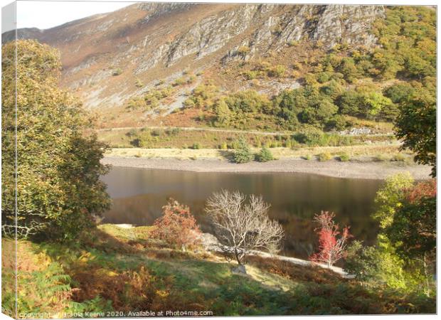 Shores of Reservoir in Elan Valley Wales  Canvas Print by Ursula Keene
