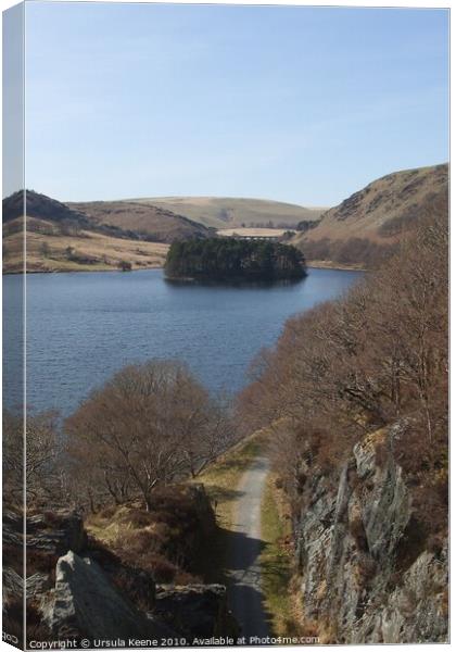 View from above Devil's Gulch Elan valley Canvas Print by Ursula Keene