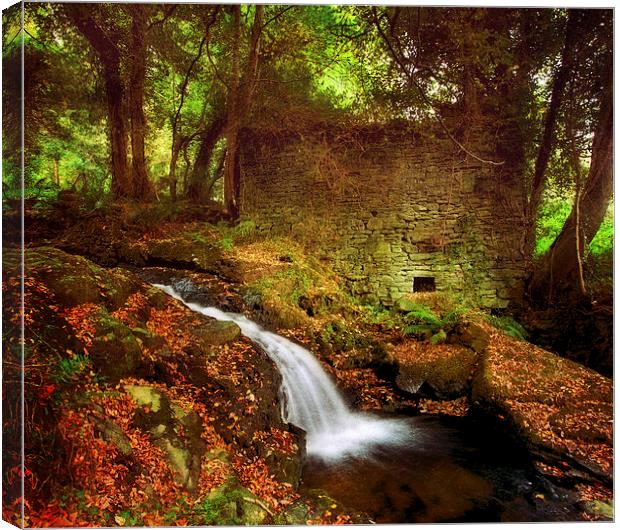 Mill On The Floss Canvas Print by clint hudson