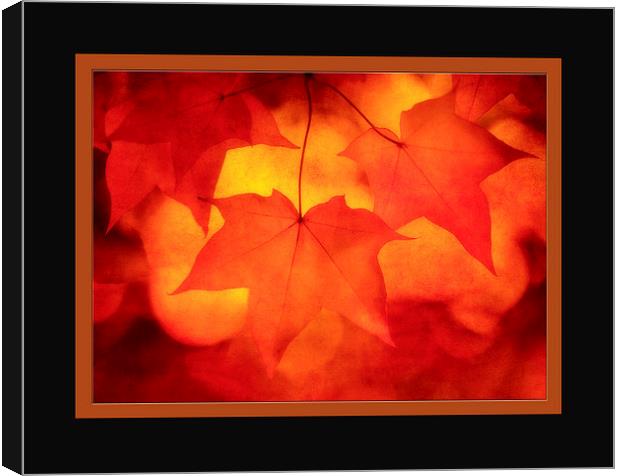 Autumn Sunrise Canvas Print by clint hudson