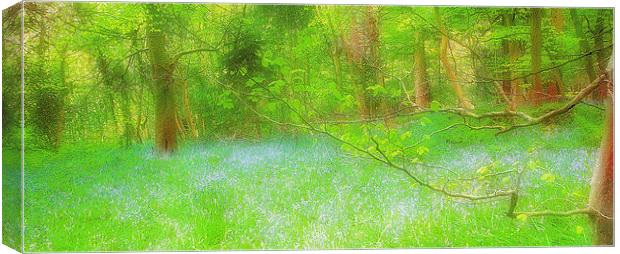 Springtime in the glen Canvas Print by clint hudson