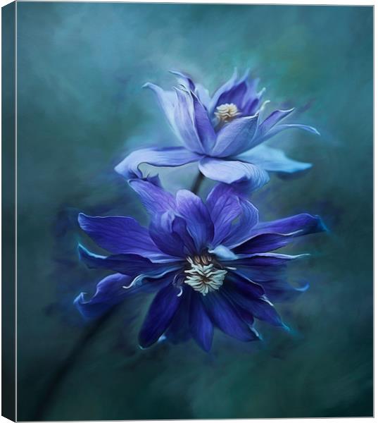 Clematis Blue Canvas Print by clint hudson