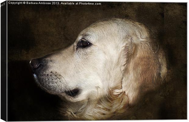 woof Canvas Print by Barbara Ambrose