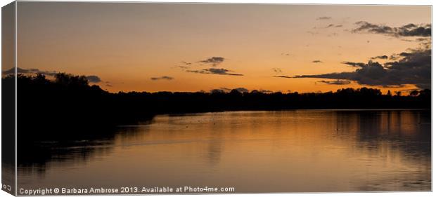Sunset over the water Canvas Print by Barbara Ambrose