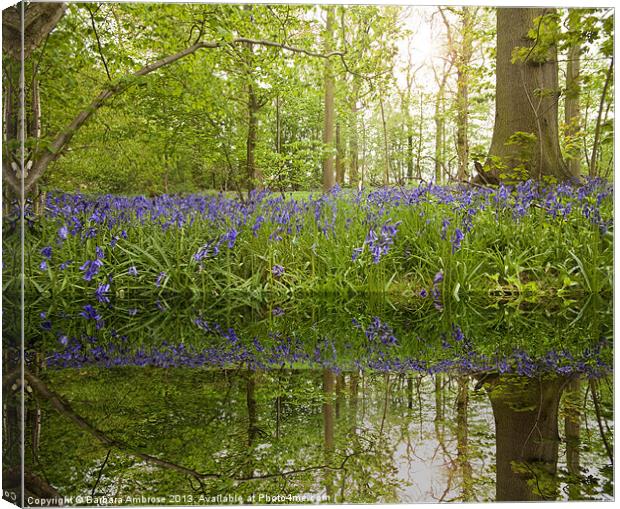 bluebell reflections Canvas Print by Barbara Ambrose