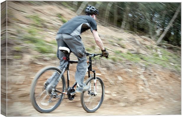 Riding the Trail Canvas Print by Andrew Cundell