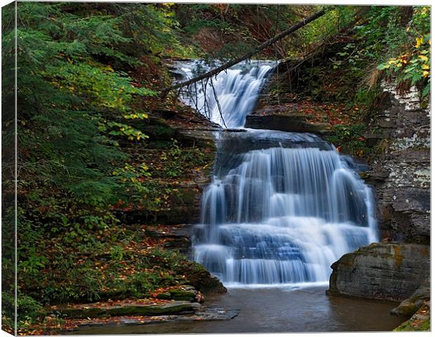 Behind The Mill Canvas Print by Bryan Olesen