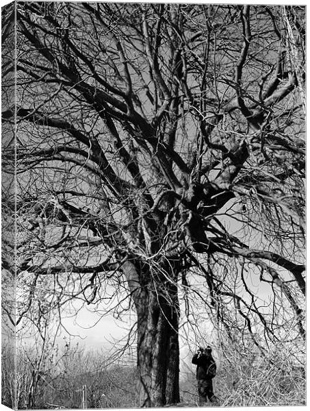 under the old tree Canvas Print by mark spencer