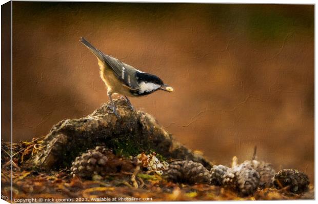 Coal Tit Feeding Oil effect Canvas Print by nick coombs
