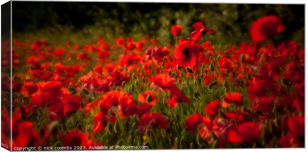 Poppies Canvas Print by nick coombs