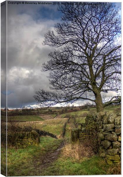  Footpath near Eldwick Canvas Print by Beverley Middleton