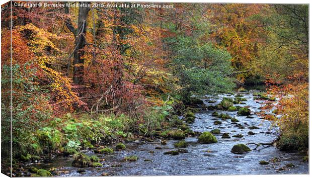  River Wharfe, Strid Woods Canvas Print by Beverley Middleton