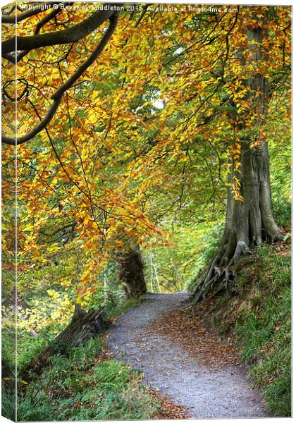  Autumn Woods Canvas Print by Beverley Middleton