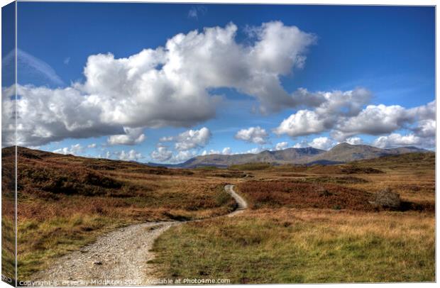 Bethecar Moor, near Coniston Water Canvas Print by Beverley Middleton