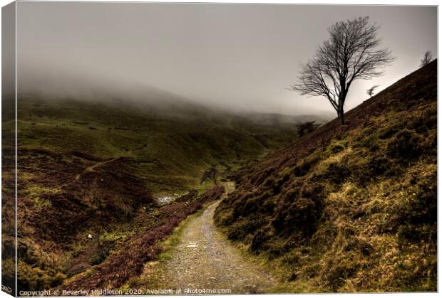Moorland track on misty day Canvas Print by Beverley Middleton