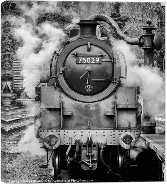 75029 The Green Knight Canvas Print by Neil Nicklin