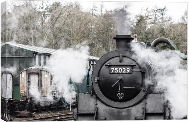 75029 The Green Knight Canvas Print by Neil Nicklin
