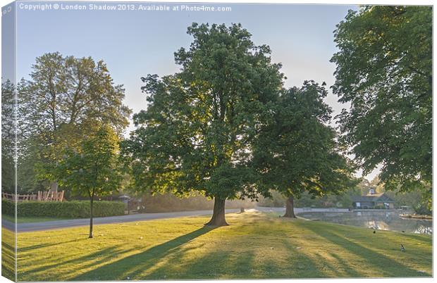 Sunrise in the park Canvas Print by London Shadow