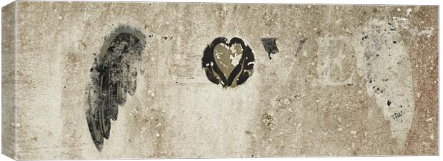 Love never dies, just fades Canvas Print by Paul May