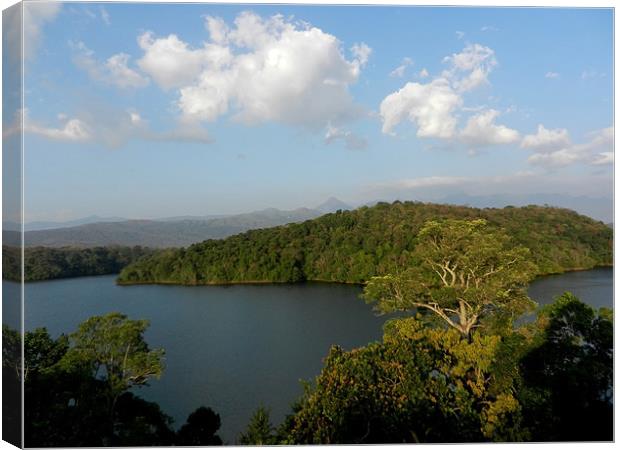 The Picturesque Neyyar River Canvas Print by Sajitha Nair