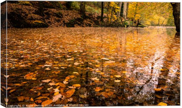 Cascading Autumn Pools Canvas Print by Roger Dutton