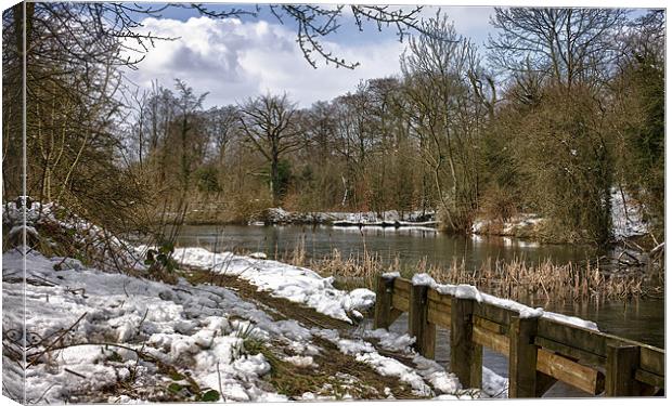 Park Lime Pits In Winter Canvas Print by Steve Wilcox