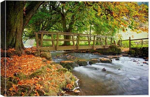 Autumn In Beresford Dale Canvas Print by Steve Wilcox