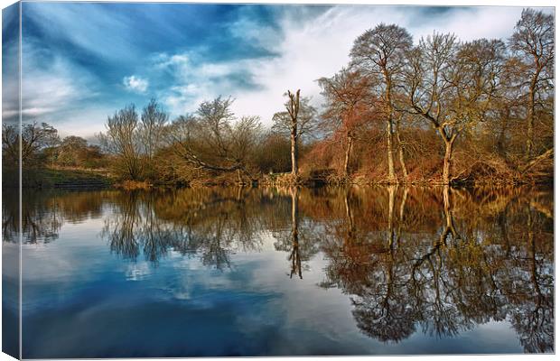 Park Lime Pits Reflections.... Canvas Print by Steve Wilcox
