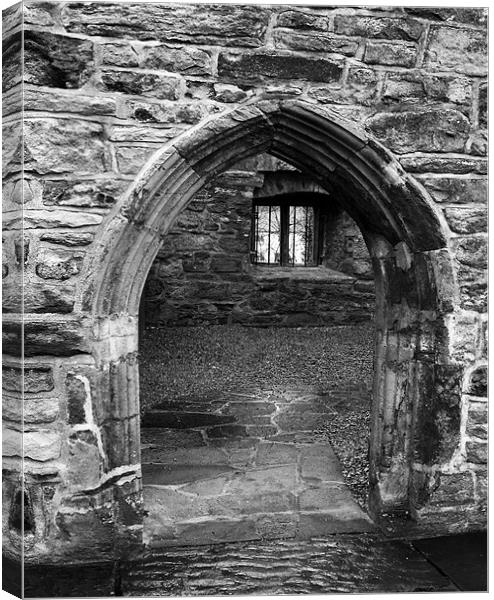 Donegal Castle Door Canvas Print by Larry Pegram