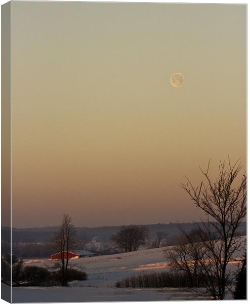 Winter Moon Canvas Print by Larry Pegram