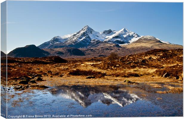 Sgurr nan Gillean Canvas Print by Fiona Brims