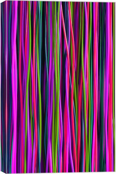 Stripes Canvas Print by Ian Jeffrey