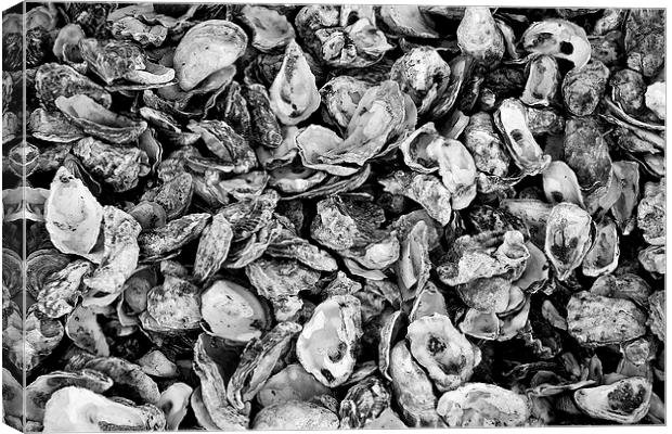  Oyster Shells Canvas Print by Paul Rayment
