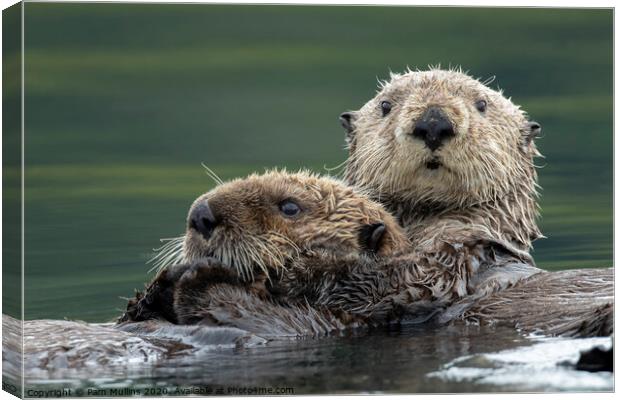 Sea Otters Canvas Print by Pam Mullins