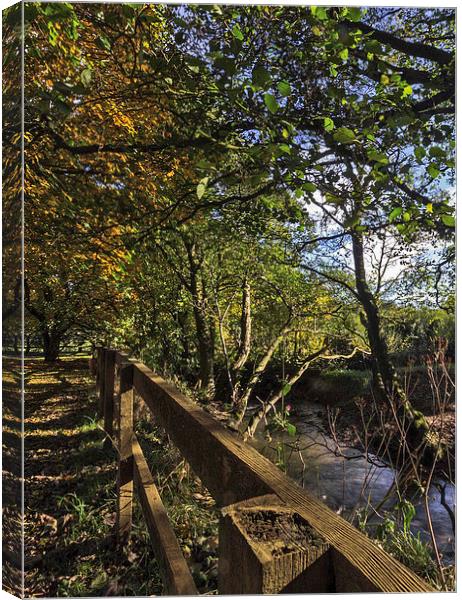 Autumn By The Stream Canvas Print by keith sayer