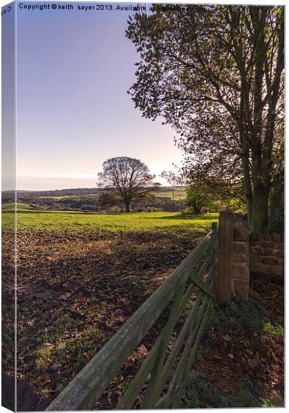 Gate To The Oak Tree Canvas Print by keith sayer