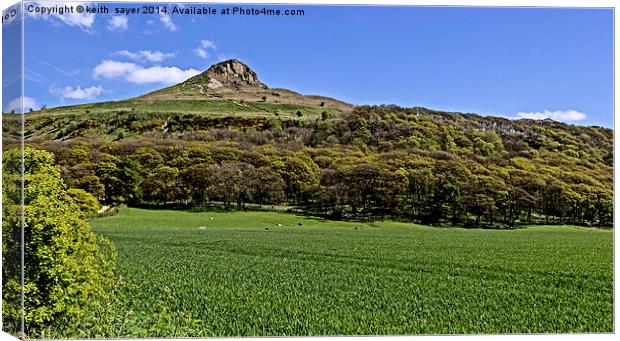 Roseberry Topping Canvas Print by keith sayer