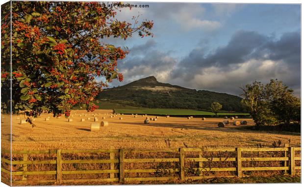  Winter Feed Roseberry Topping Canvas Print by keith sayer