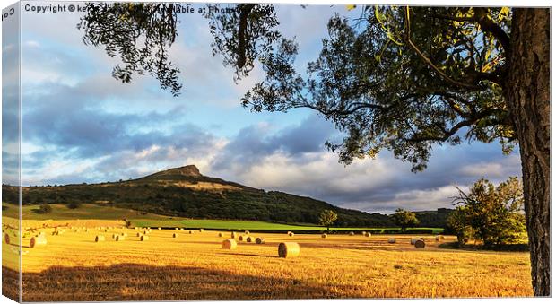  Roseberry Topping Tree Canvas Print by keith sayer