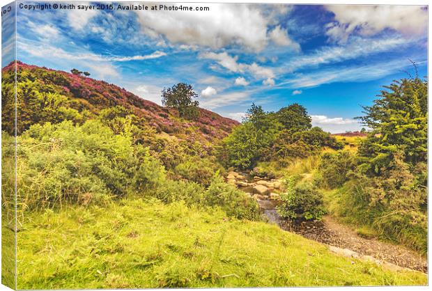  The Stream  Canvas Print by keith sayer