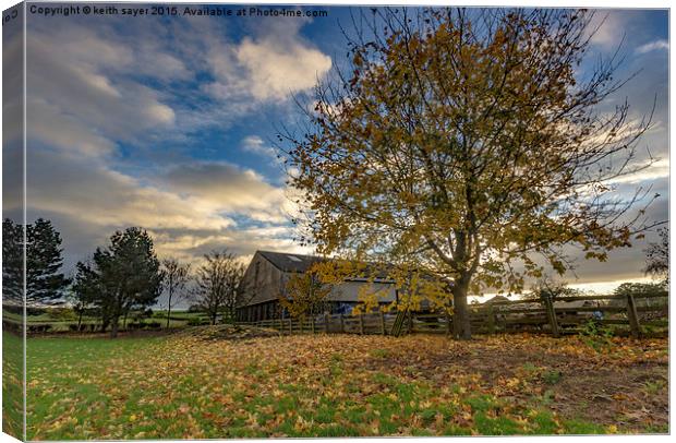 Fallen Leaves Canvas Print by keith sayer