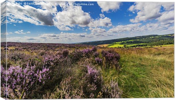 Farndale Moor Canvas Print by keith sayer