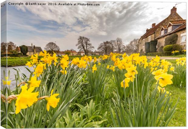 The village green Canvas Print by keith sayer