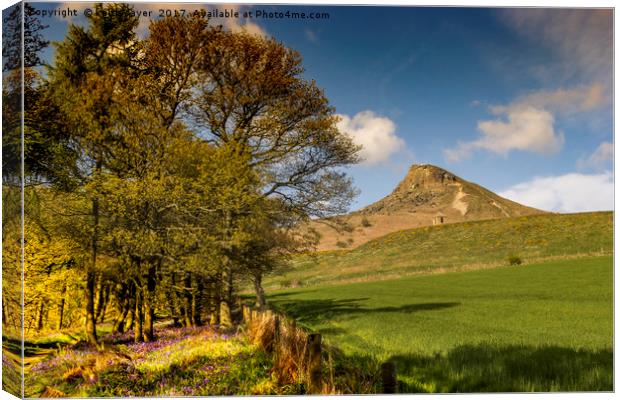 Roseberry Topping Canvas Print by keith sayer