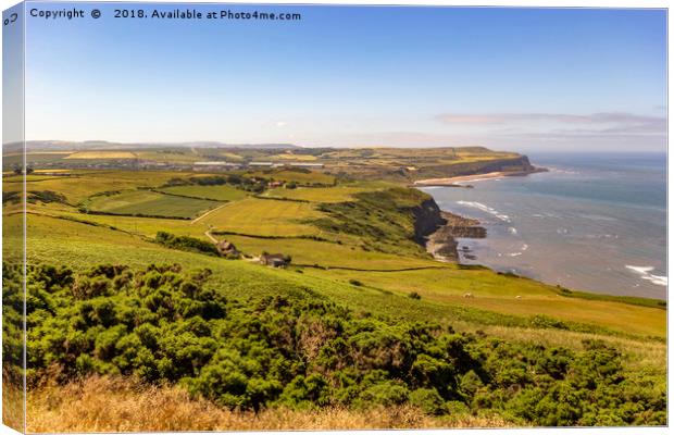 The view from Boulby cliffs Canvas Print by keith sayer