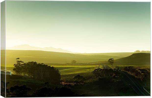Fields of Green Canvas Print by Elizma Fourie