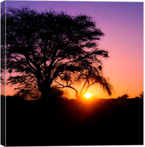 Sunset in the Kalahari Canvas Print by Elizma Fourie