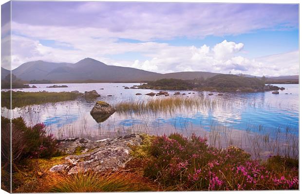 Colorful World of Rannoch Moor. Scotland Canvas Print by Jenny Rainbow