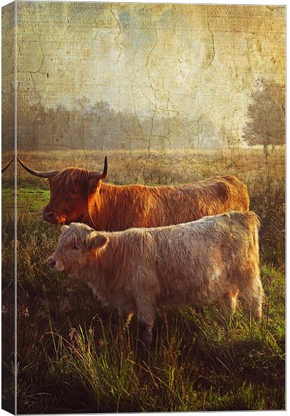 Highlanders. Scottish Countryside Canvas Print by Jenny Rainbow