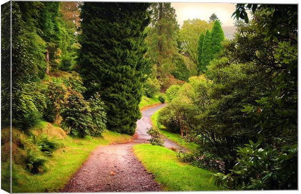 Pleasant Path. Benmore Botanical Garden. Scotland Canvas Print by Jenny Rainbow